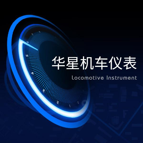 武汉华星车载