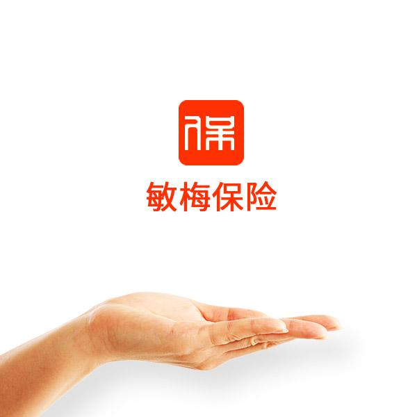 敏梅保险