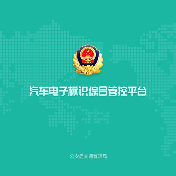 汽车电子